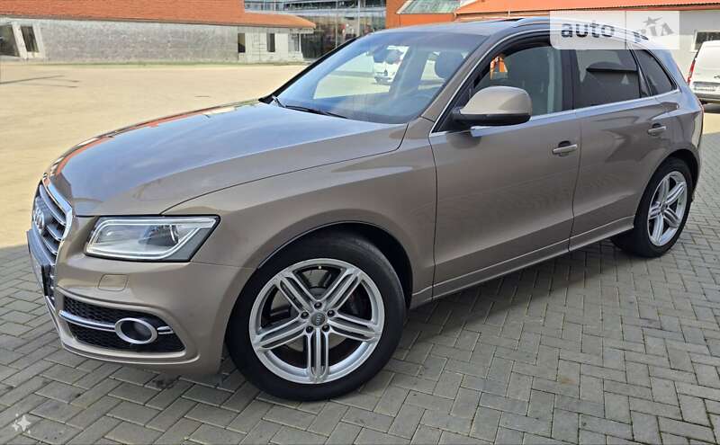 Audi Sq5 (2013)