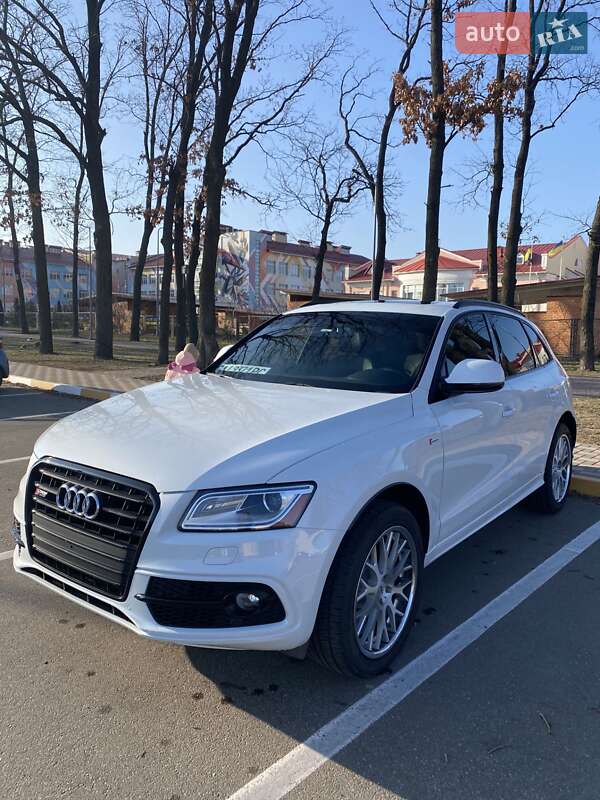 Audi Sq5 (2015)