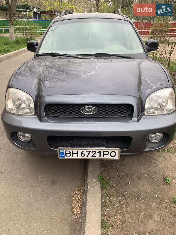 Hyundai Santa fe (2003)