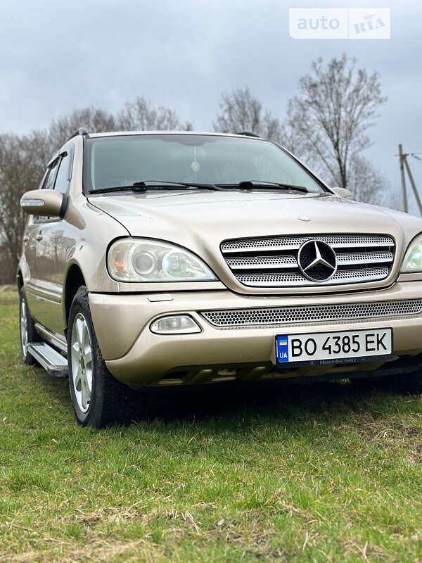 Mercedes-benz M-class (2002)