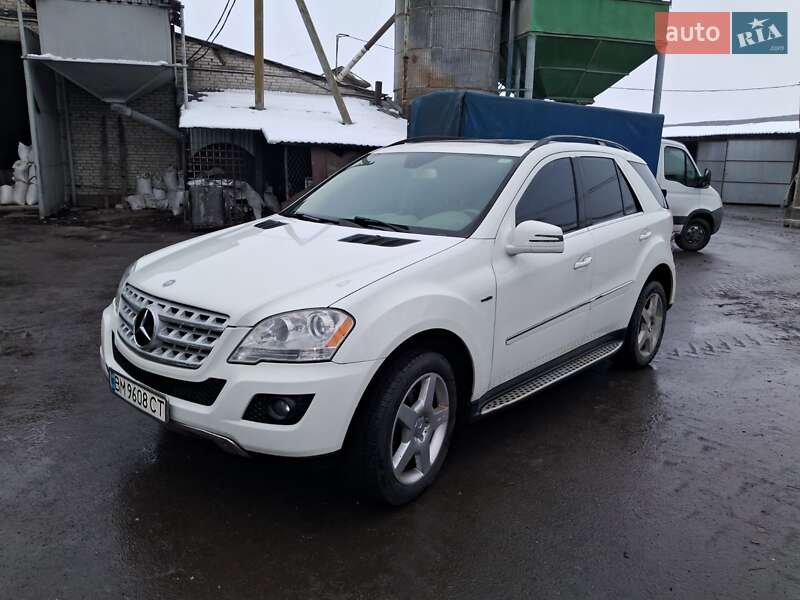 Mercedes-benz M-class (2010)