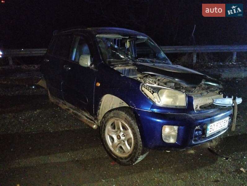 Toyota Rav4 (2001)