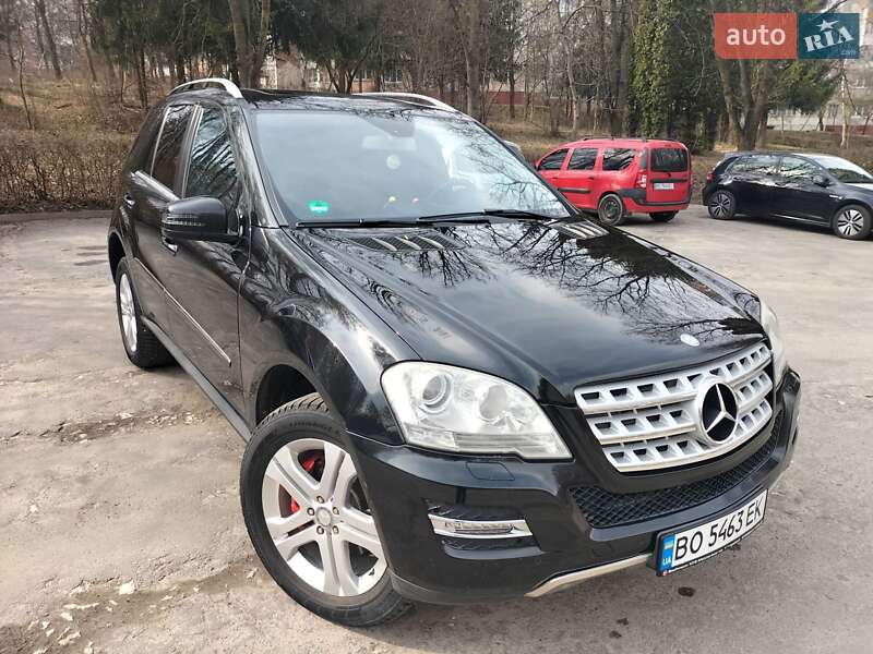 Mercedes-benz M-class (2010)