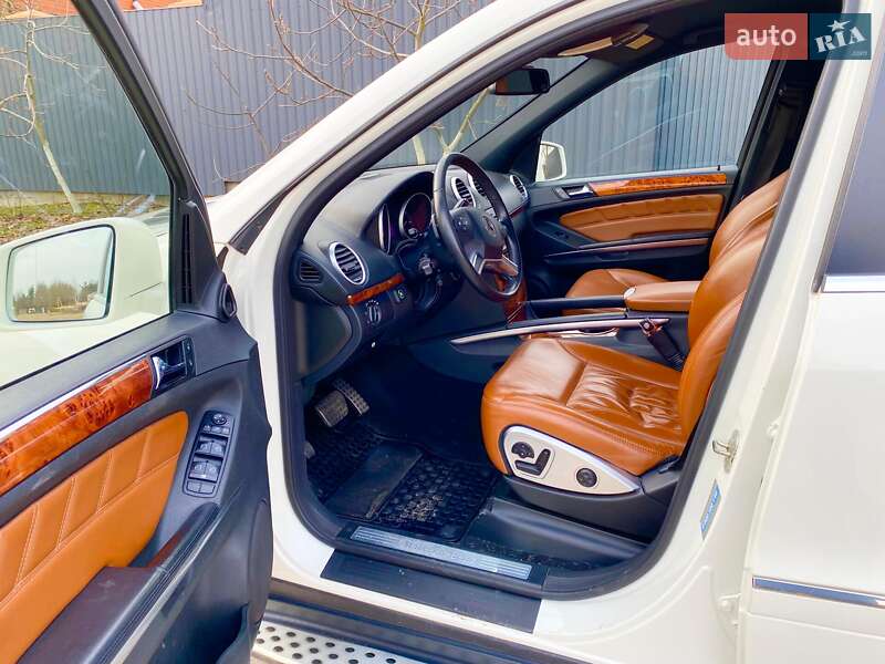 Mercedes-benz M-class (2010)
