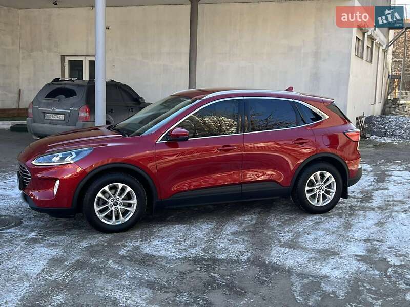 Ford Kuga (2020)
