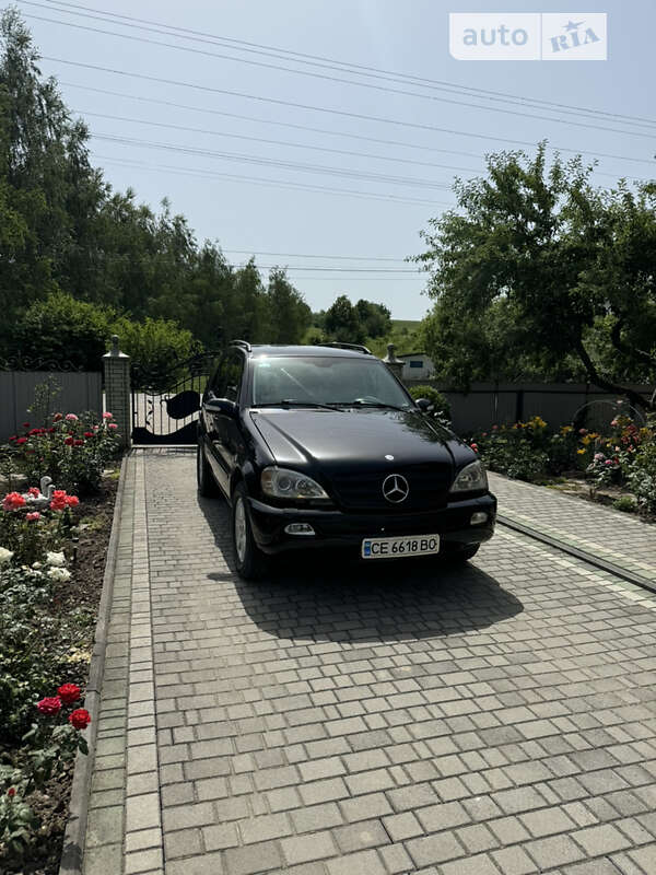 Mercedes-benz M-class (2002)