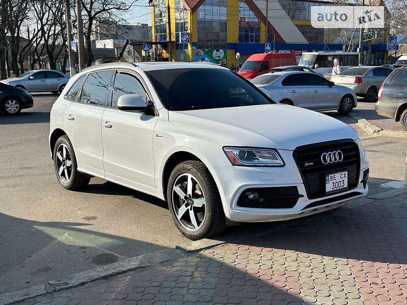 Audi Sq5 (2015)