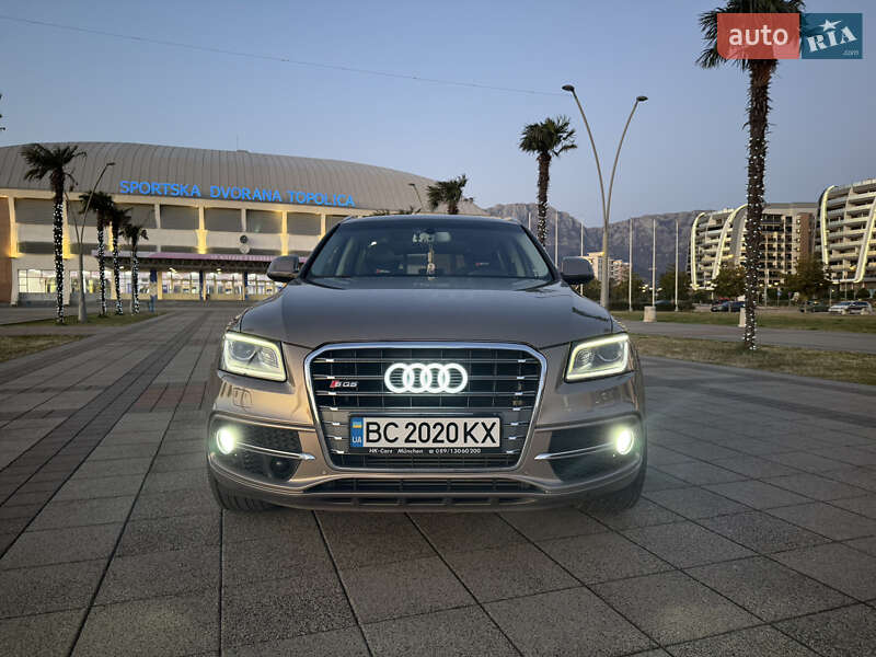 Audi Sq5 (2013)