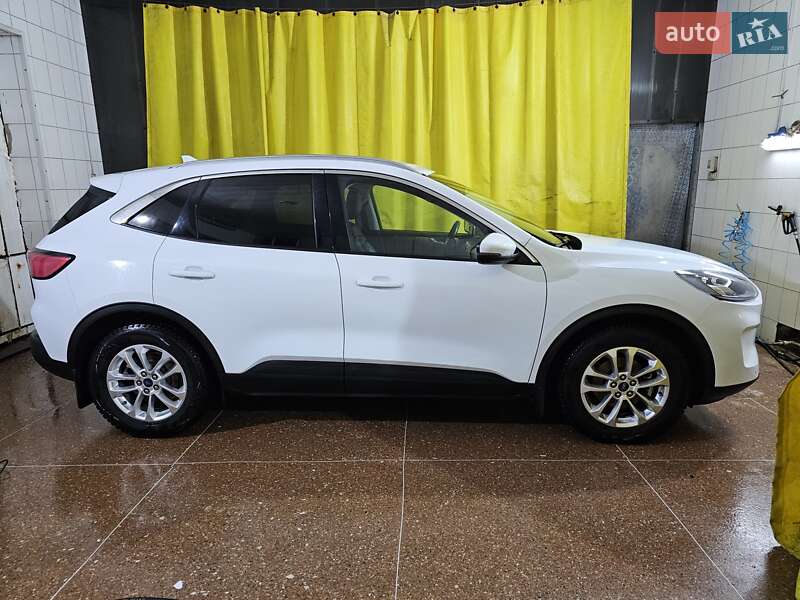 Ford Kuga (2021)