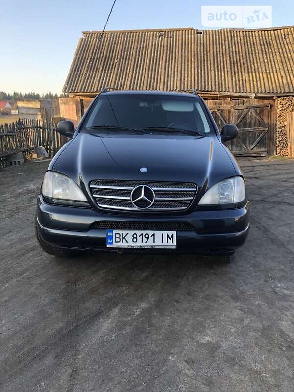 Mercedes-benz M-class (1999)