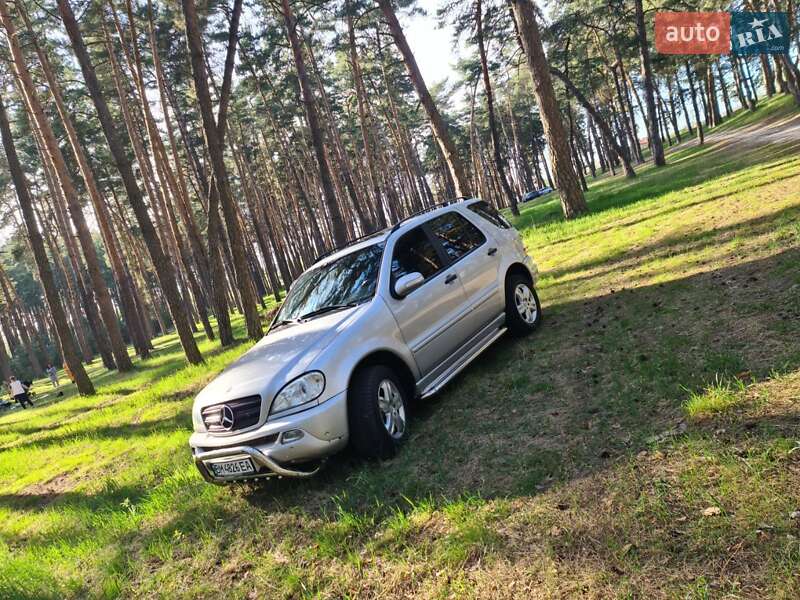 Mercedes-benz M-class (2004)