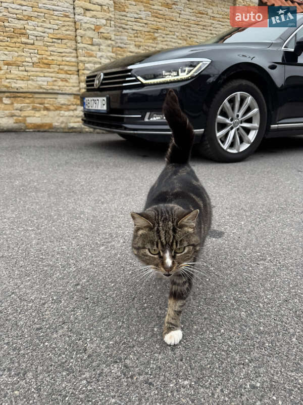 Volkswagen Passat (2018)