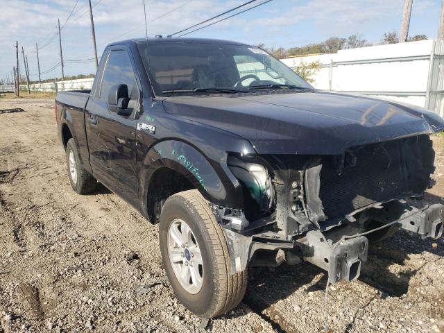 Ford All models (2019)