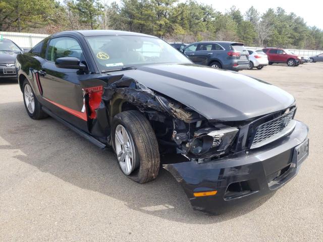 Ford All models (2010)