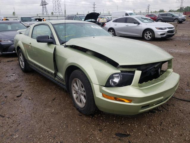 Ford All models (2005)