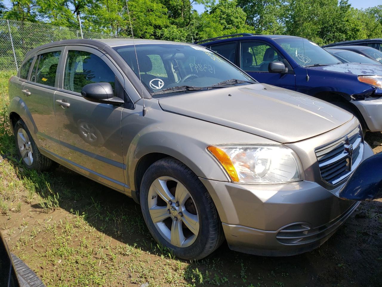 Dodge Caliber sx (2010)