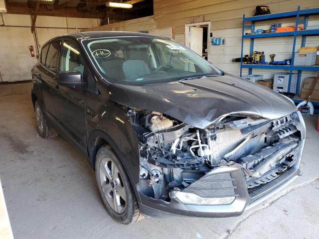 Ford Escape (2016)