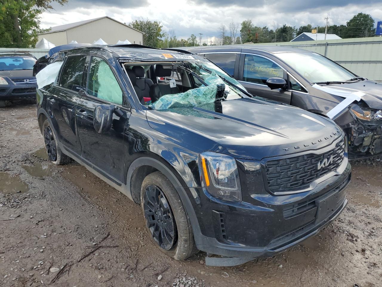 Kia Telluride (2022)