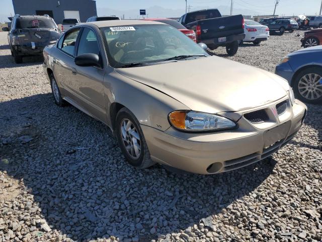 Pontiac Grandam (2004)