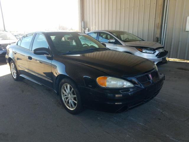 Pontiac Grandam (2004)