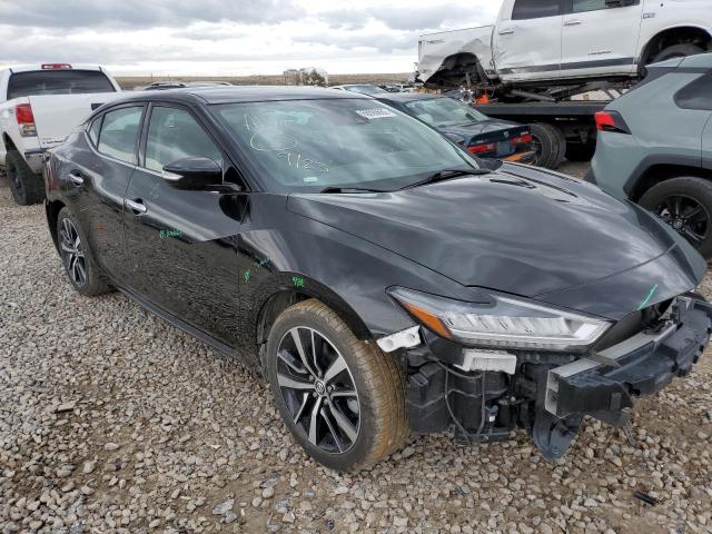 Nissan Maxima sv (2021)