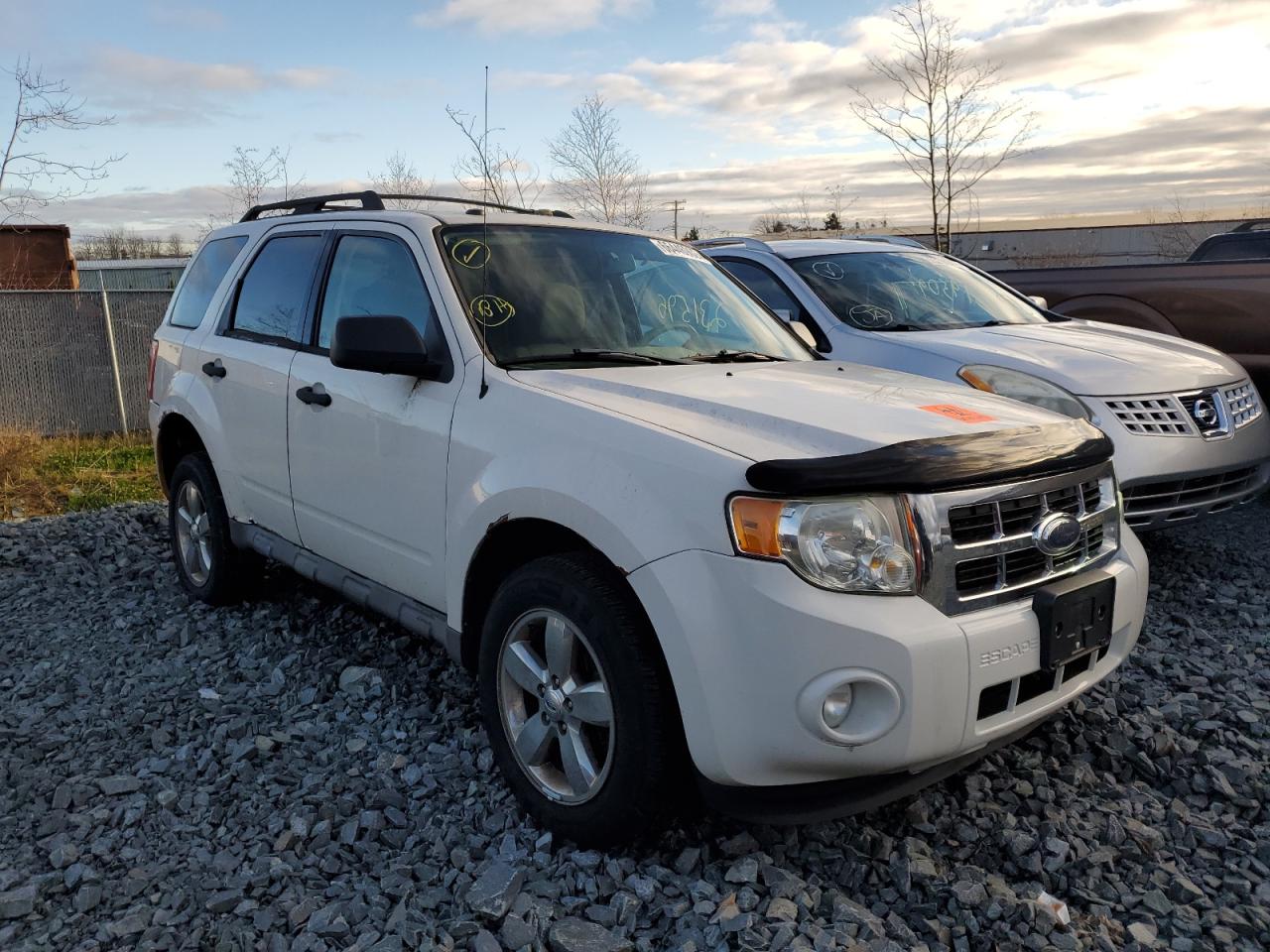 Ford Escape xlt (2009)