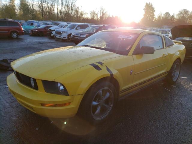 Ford All models (2006)