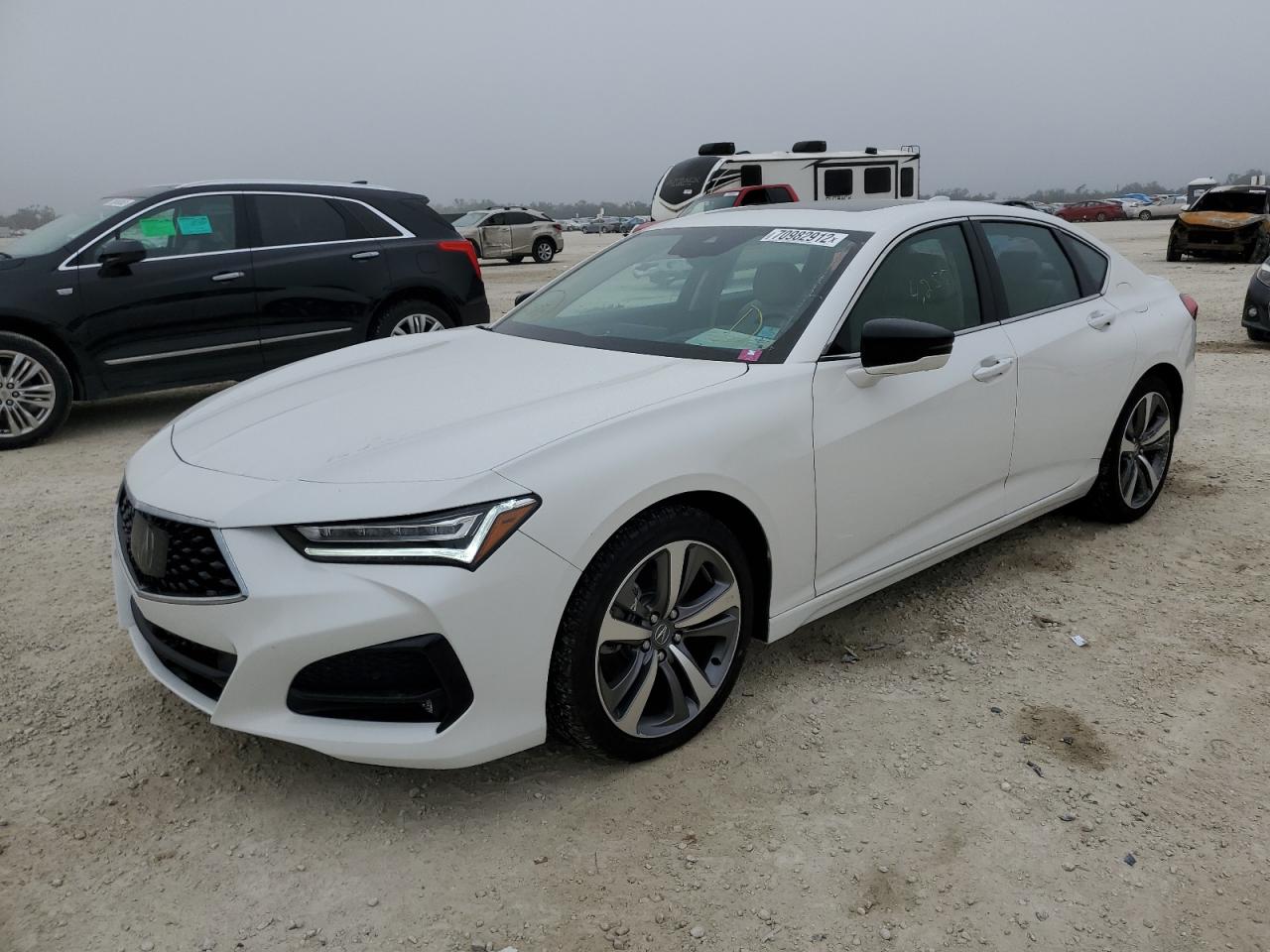 Acura Tlx advanc (2021)