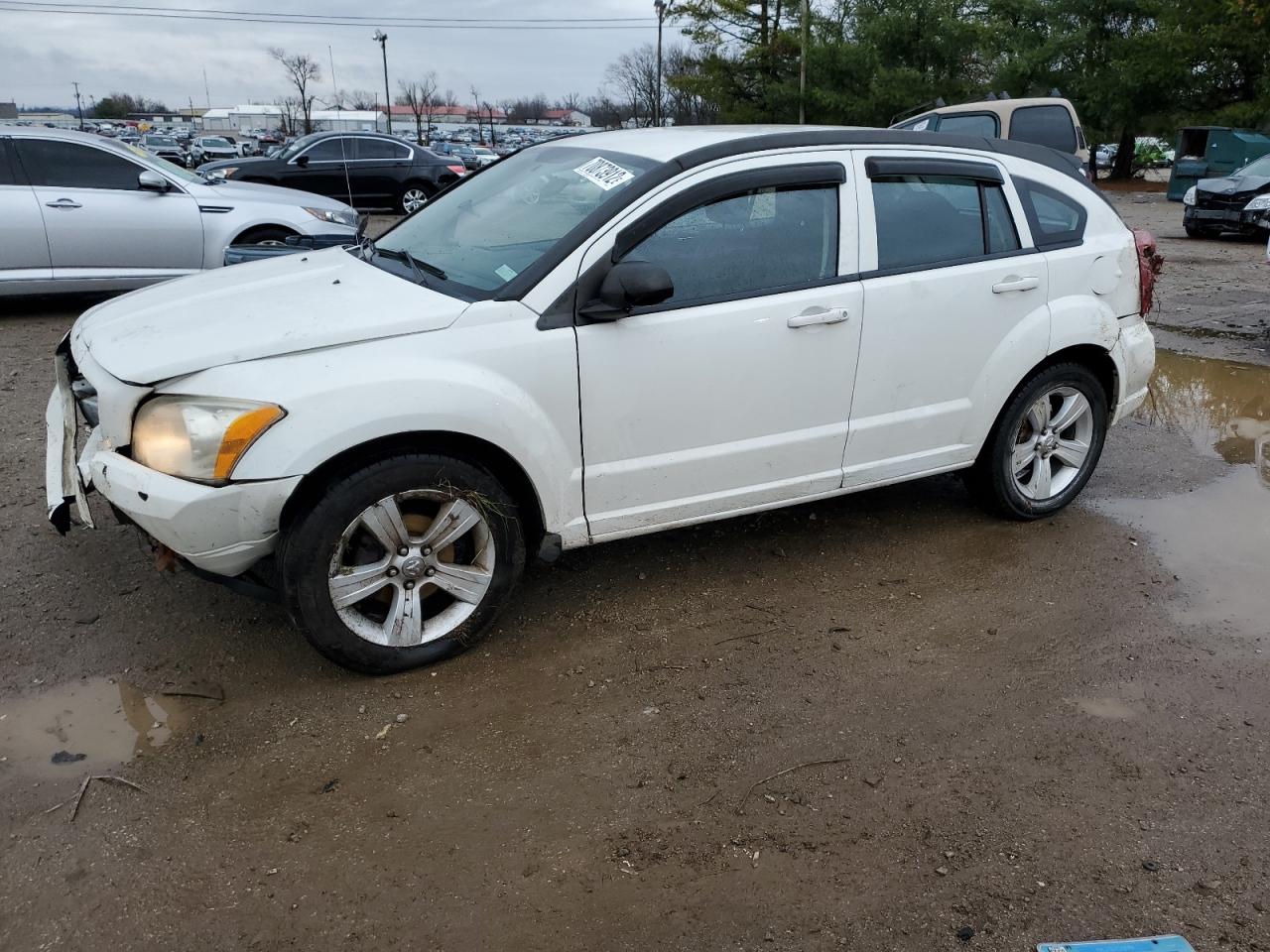Dodge Caliber sx (2010)