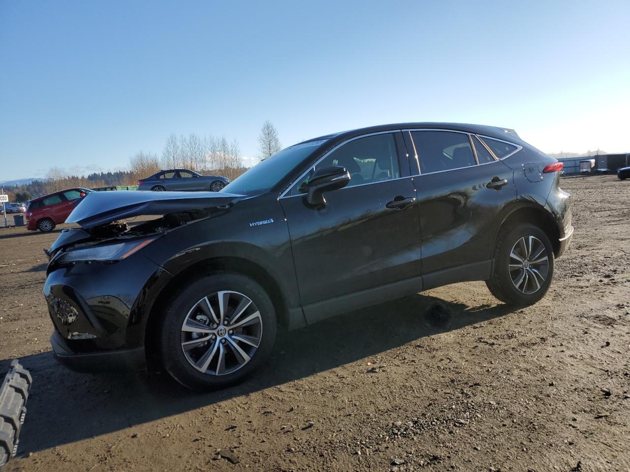 Toyota Venza le (2021)