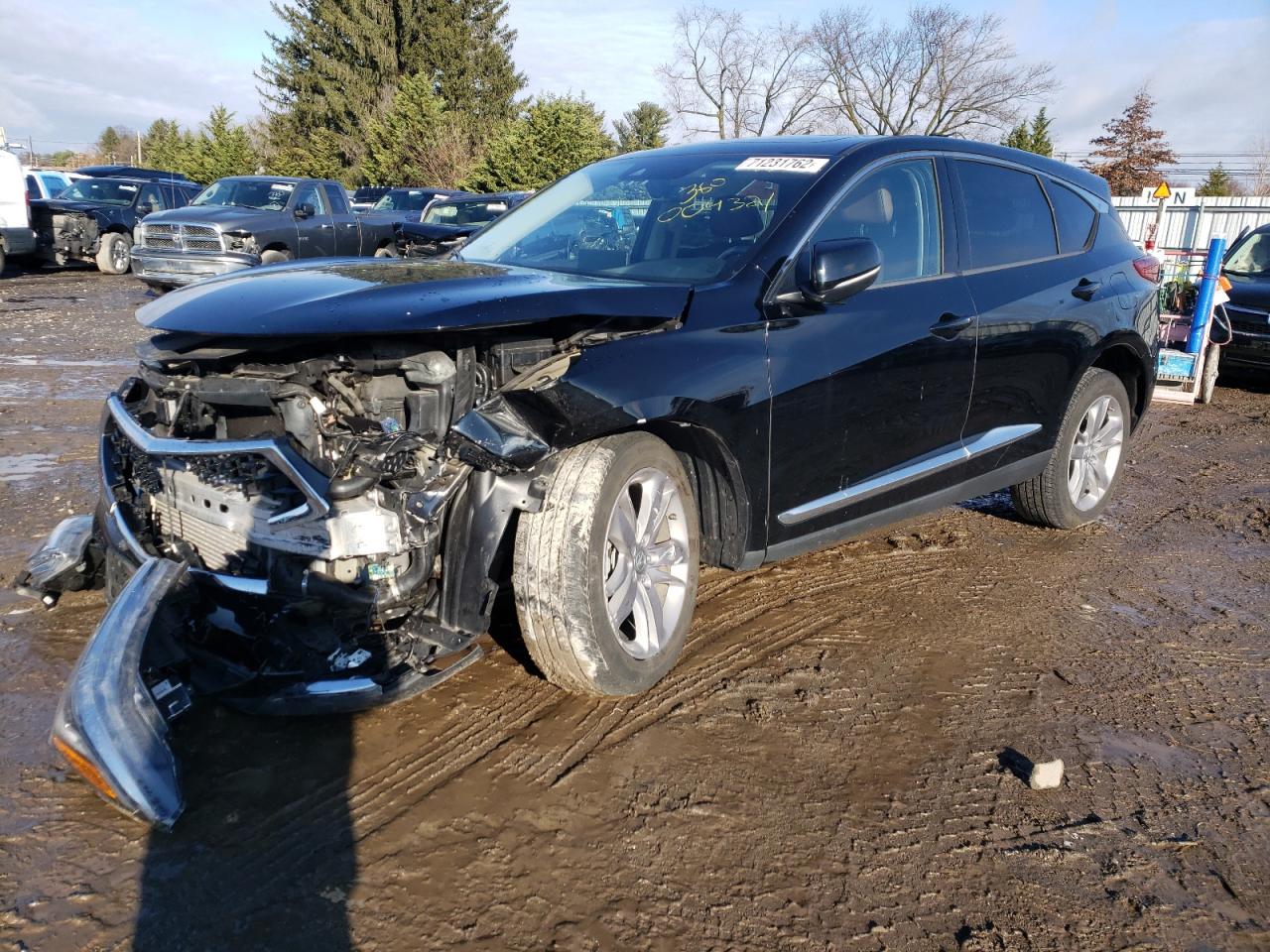 Acura Rdx advanc (2020)