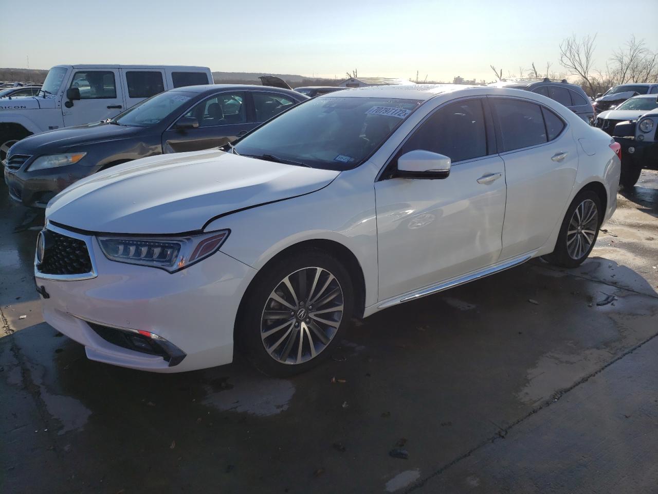 Acura Tlx advanc (2018)