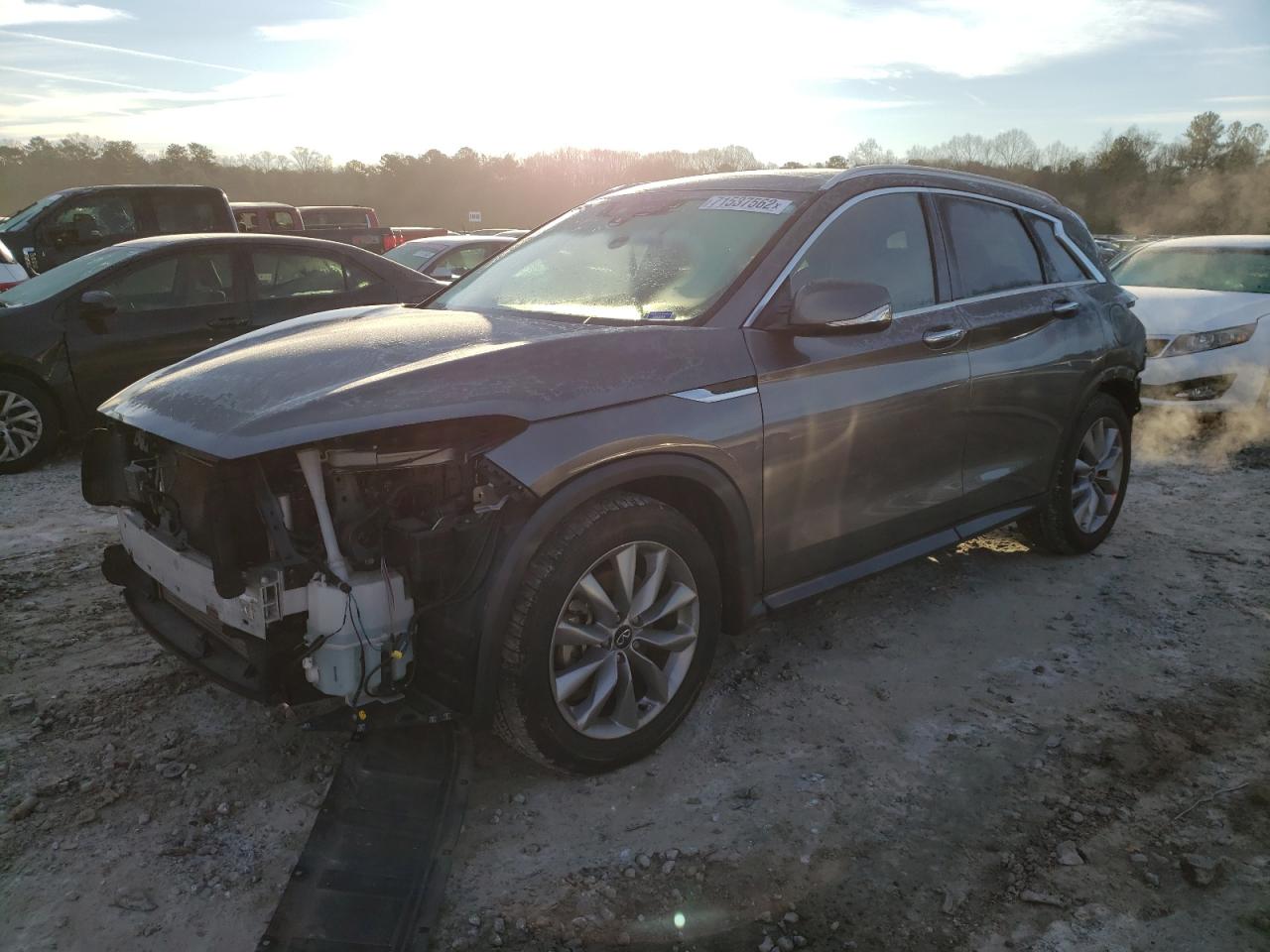 Infiniti Qx50 luxe (2021)