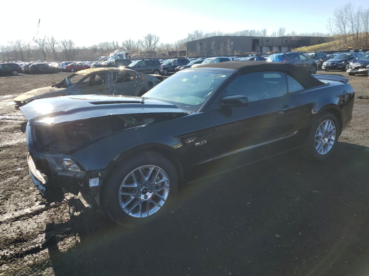 Ford Mustang gt (2013)