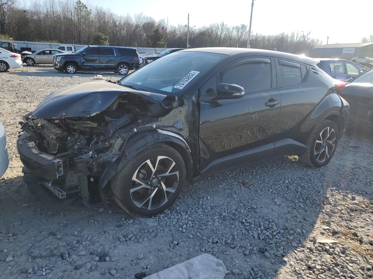 Toyota C-hr xle (2019)