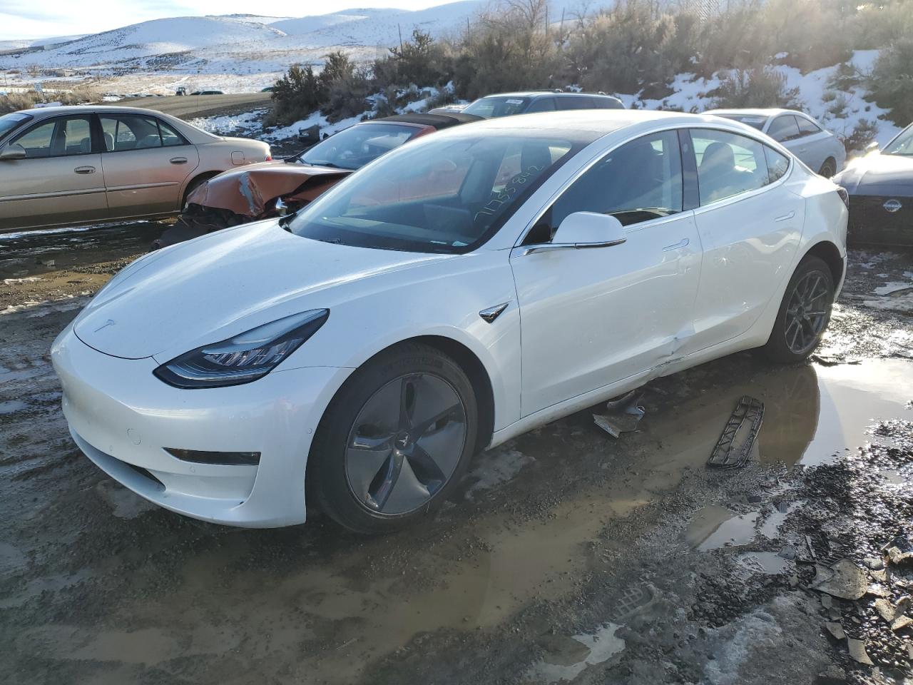 Tesla Model 3 (2020)