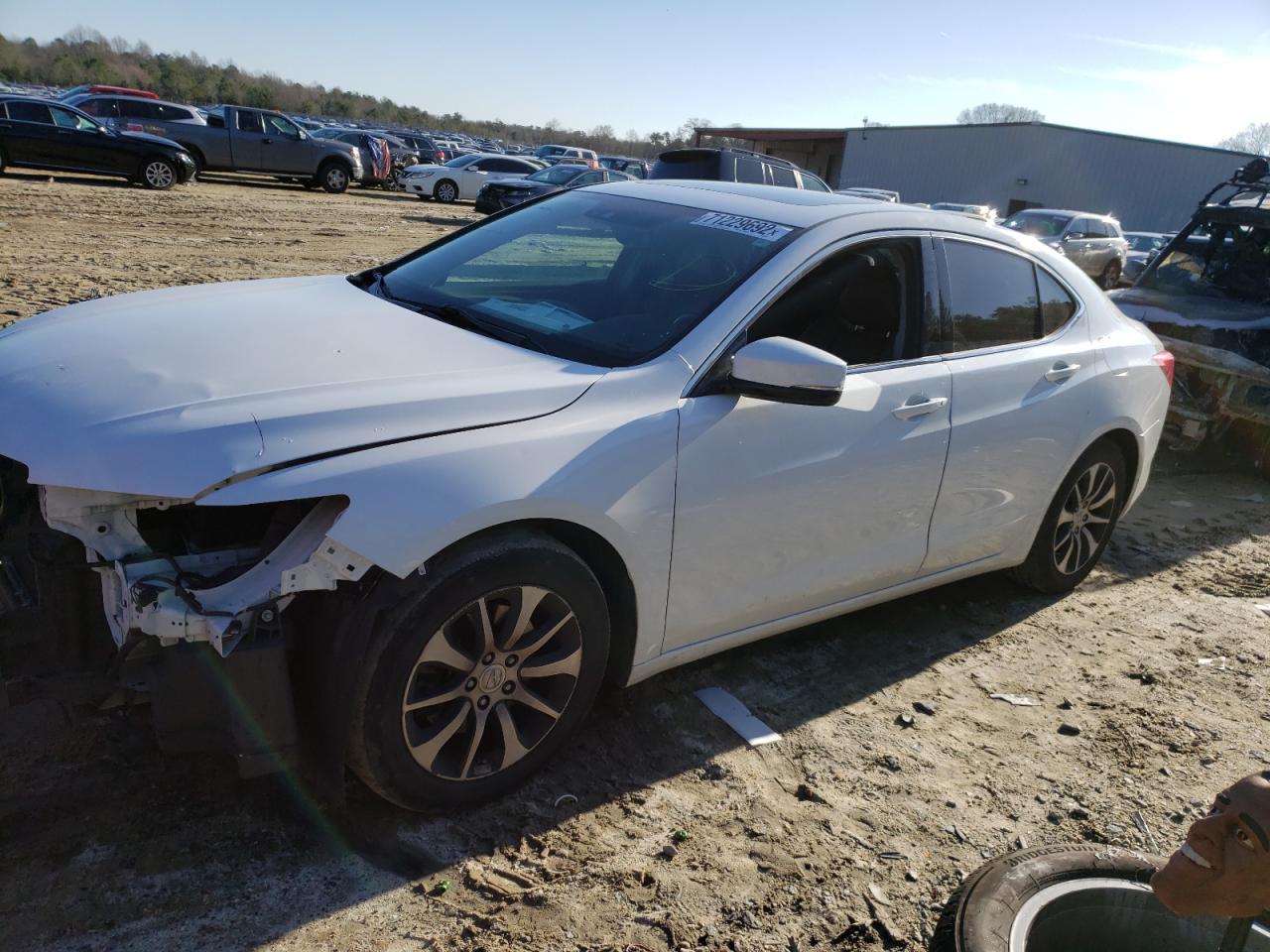 Acura Tlx tech (2017)