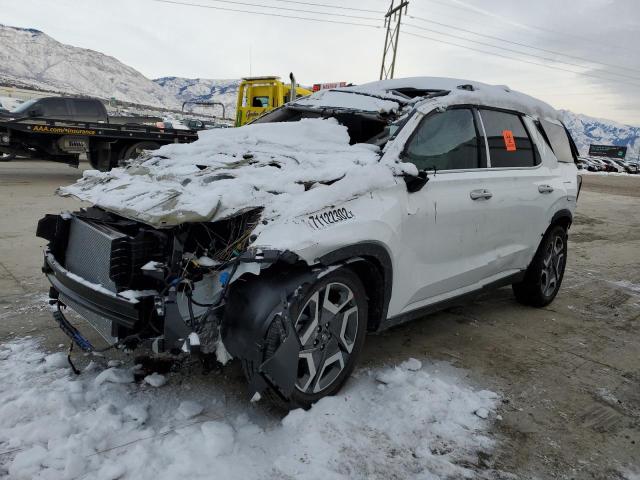 Hyundai Palisade s (2023)