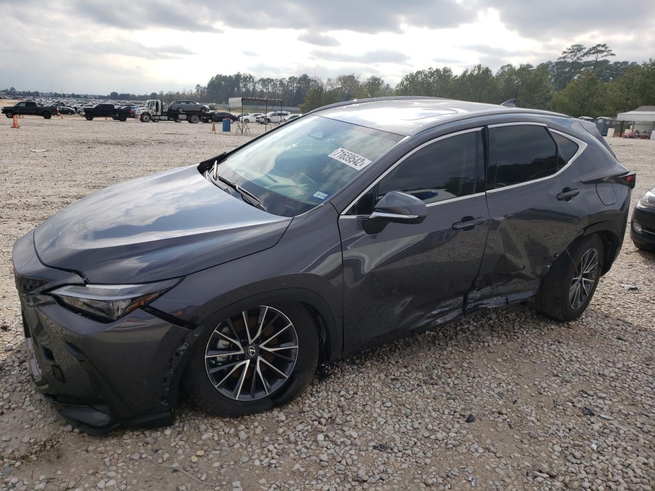 Lexus Nx 350 (2022)