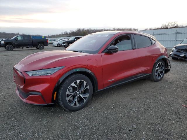 Ford Mustang ma (2021)