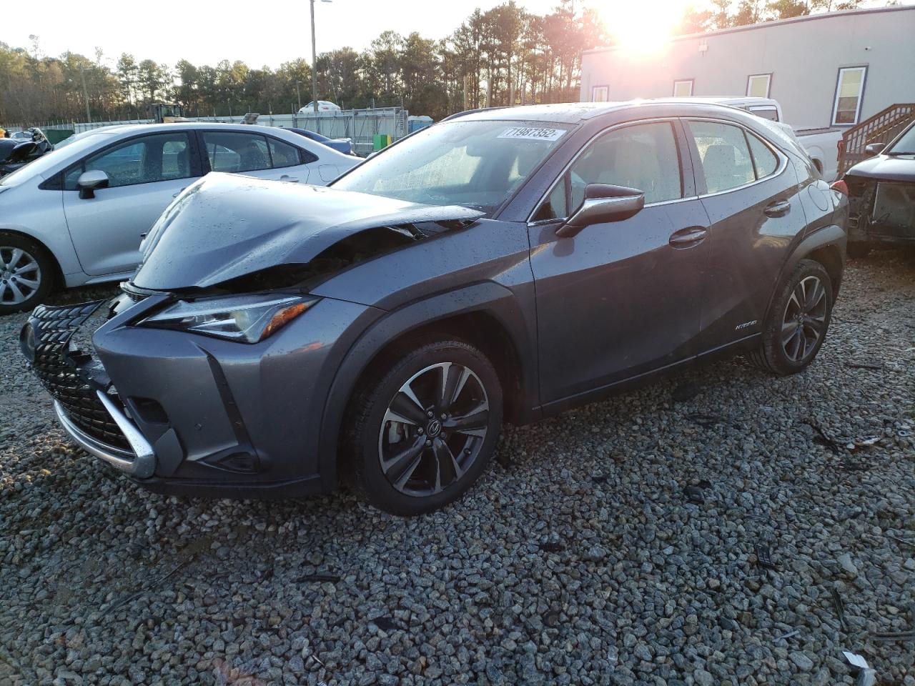 Lexus Ux 250h (2019)