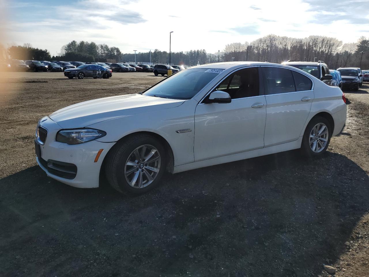 Bmw 528 xi (2014)