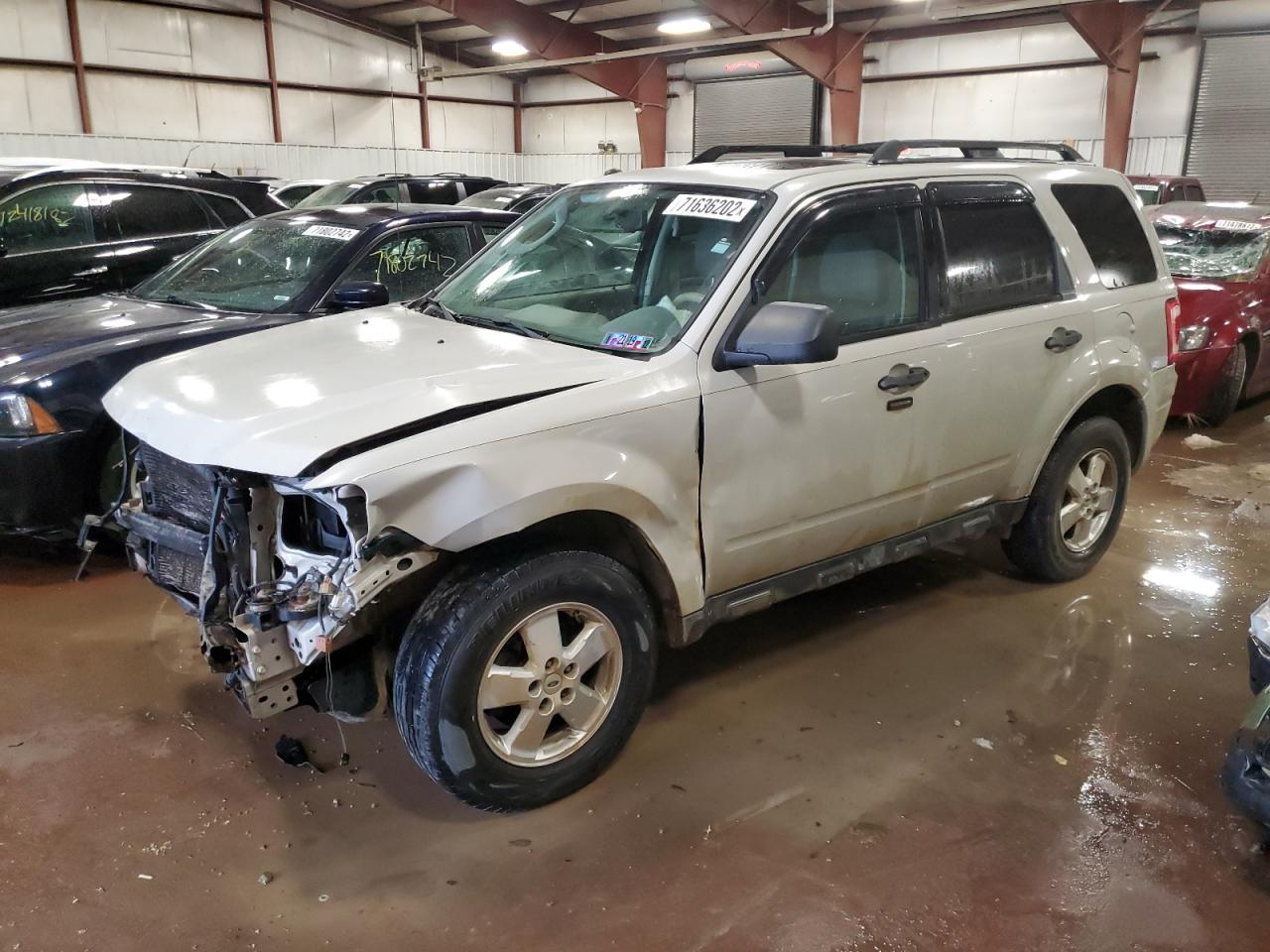 Ford Escape xlt (2009)