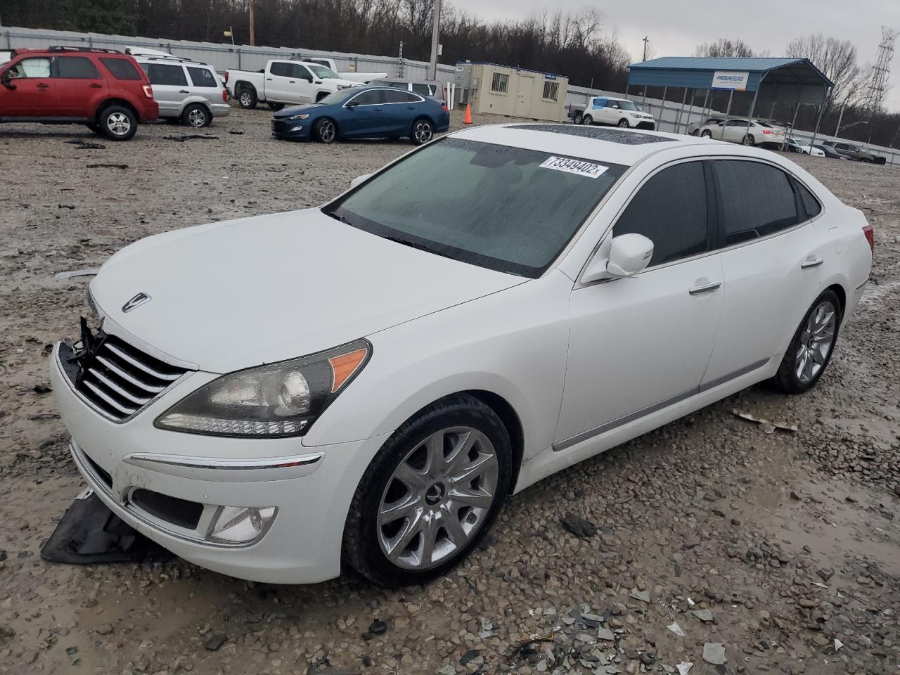Hyundai Equus sign (2012)