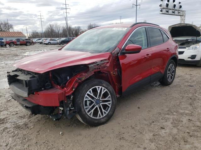 Ford Escape sel (2020)