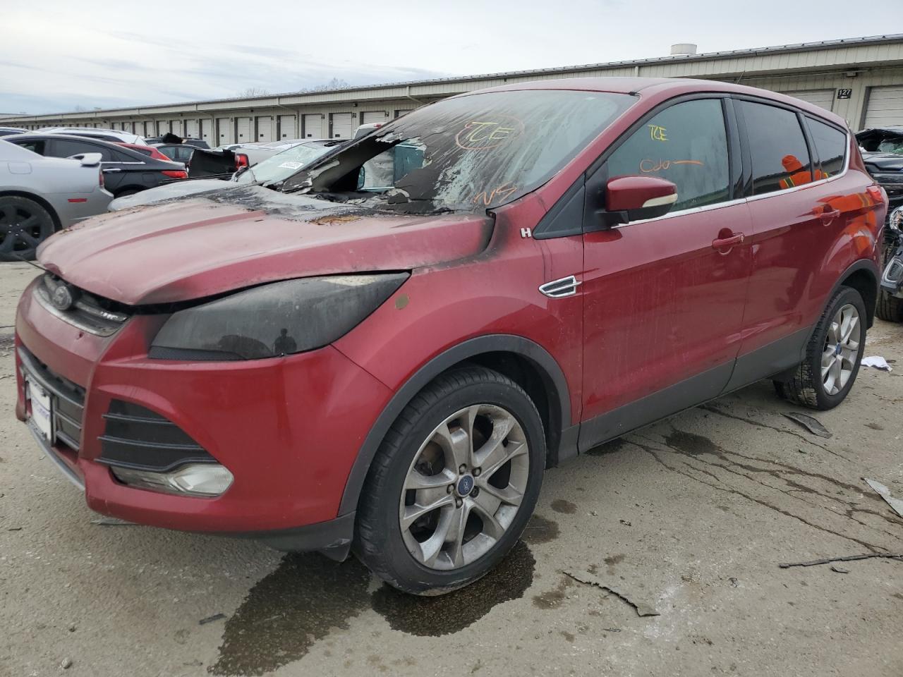 Ford Escape sel (2013)
