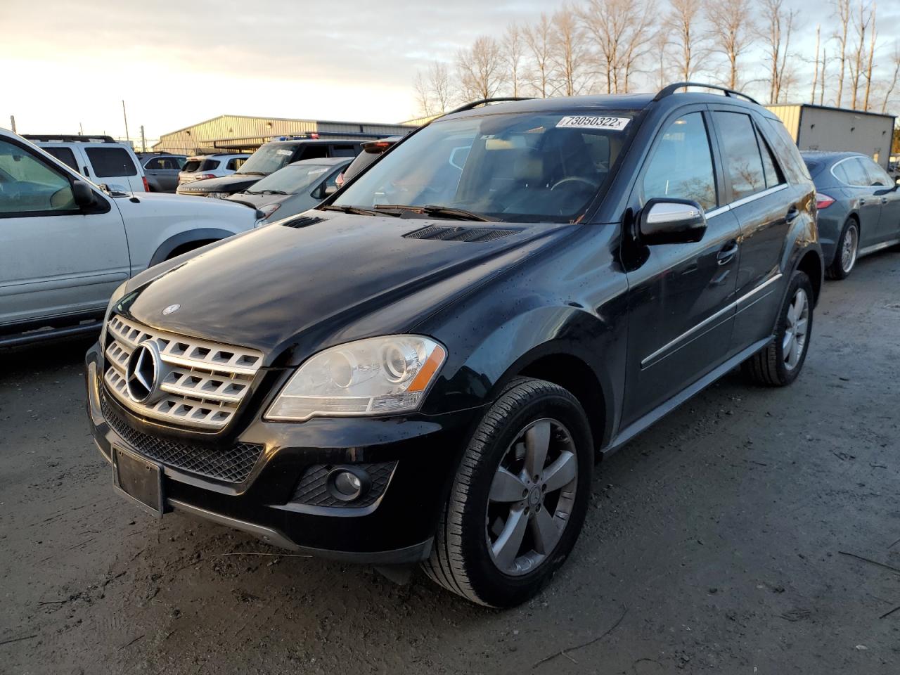 Mercedes-benz M-class (2010)