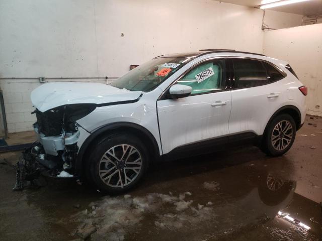 Ford Escape sel (2020)