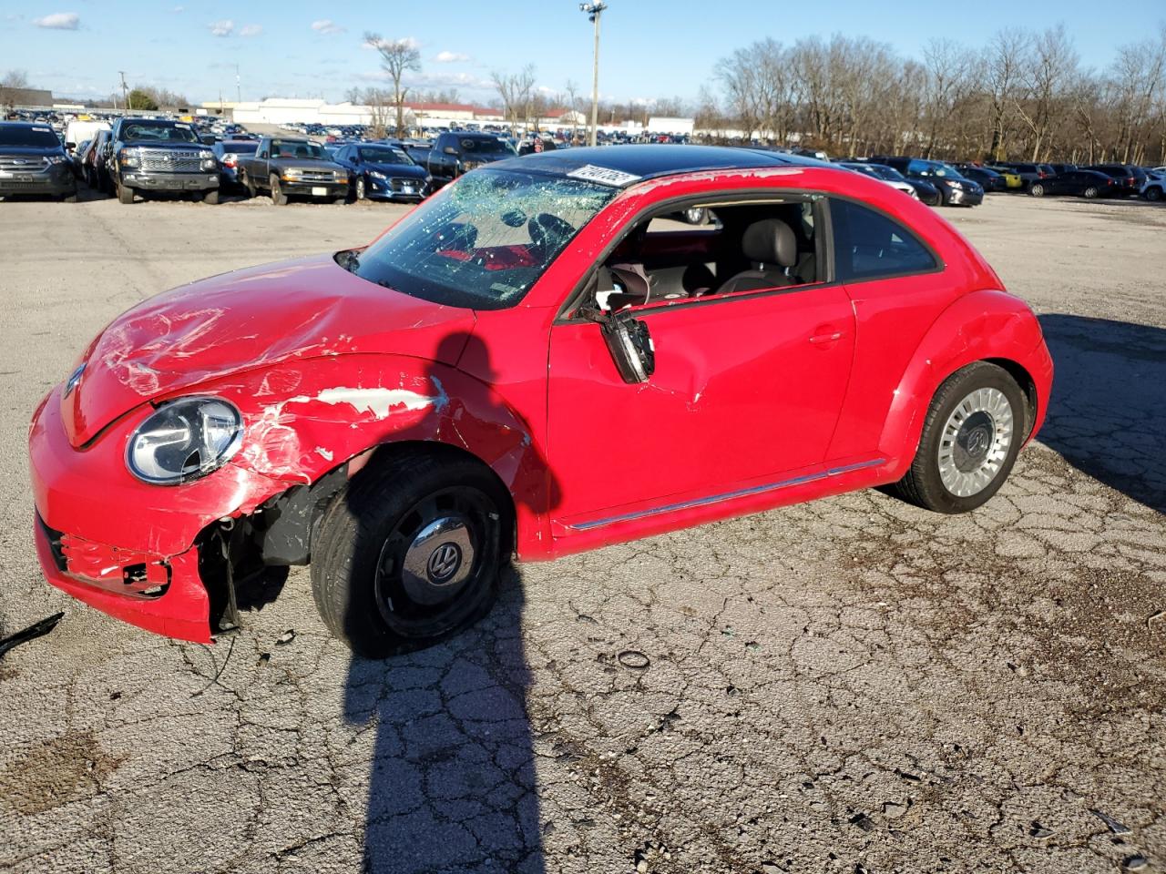 Volkswagen Beetle (2014)