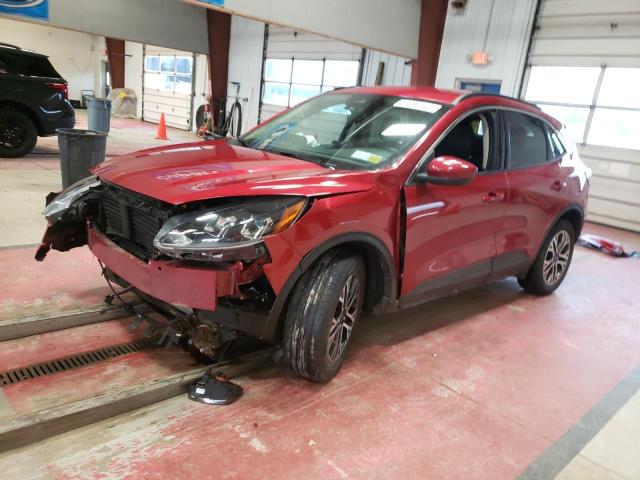 Ford Escape sel (2020)